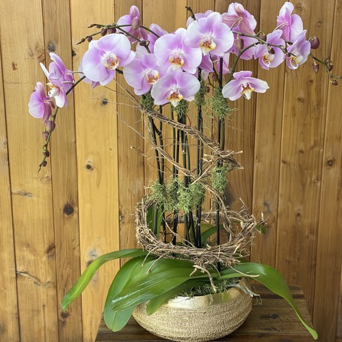 Pink phalaenopsis orchids with vine wreath in gold woven basket by Raleigh floral studio